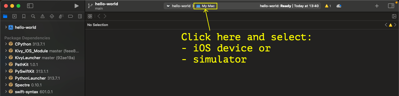 Choose the build target on Xcode